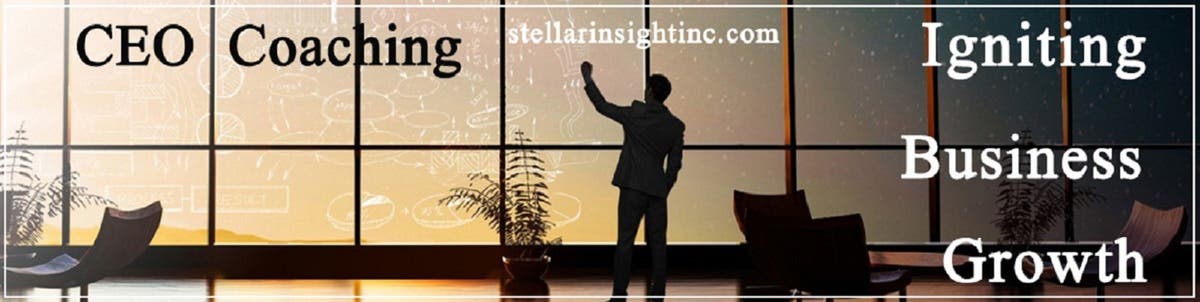 Stellar Insight Inc.