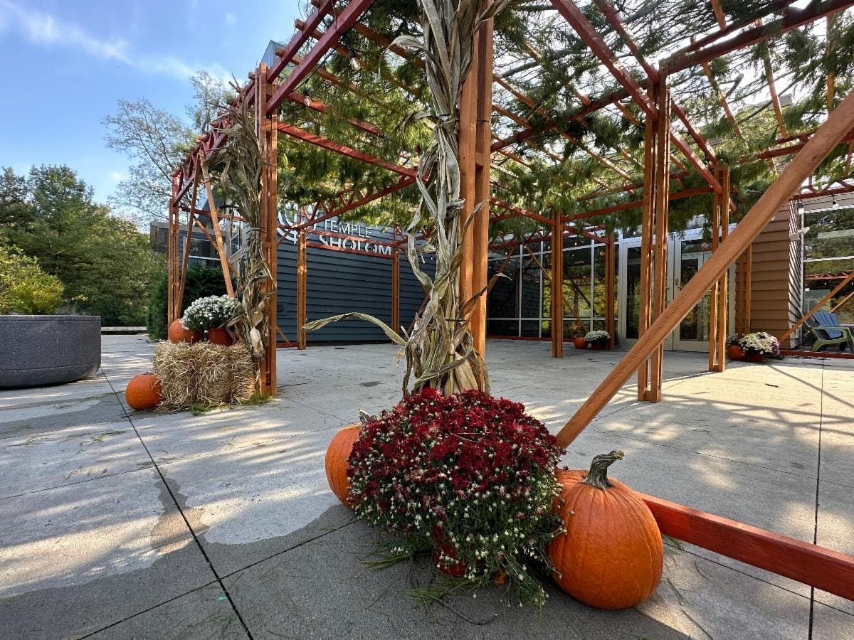 Temple Sholom's Sukkah