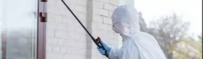 Mold Remediation Reading Solutions