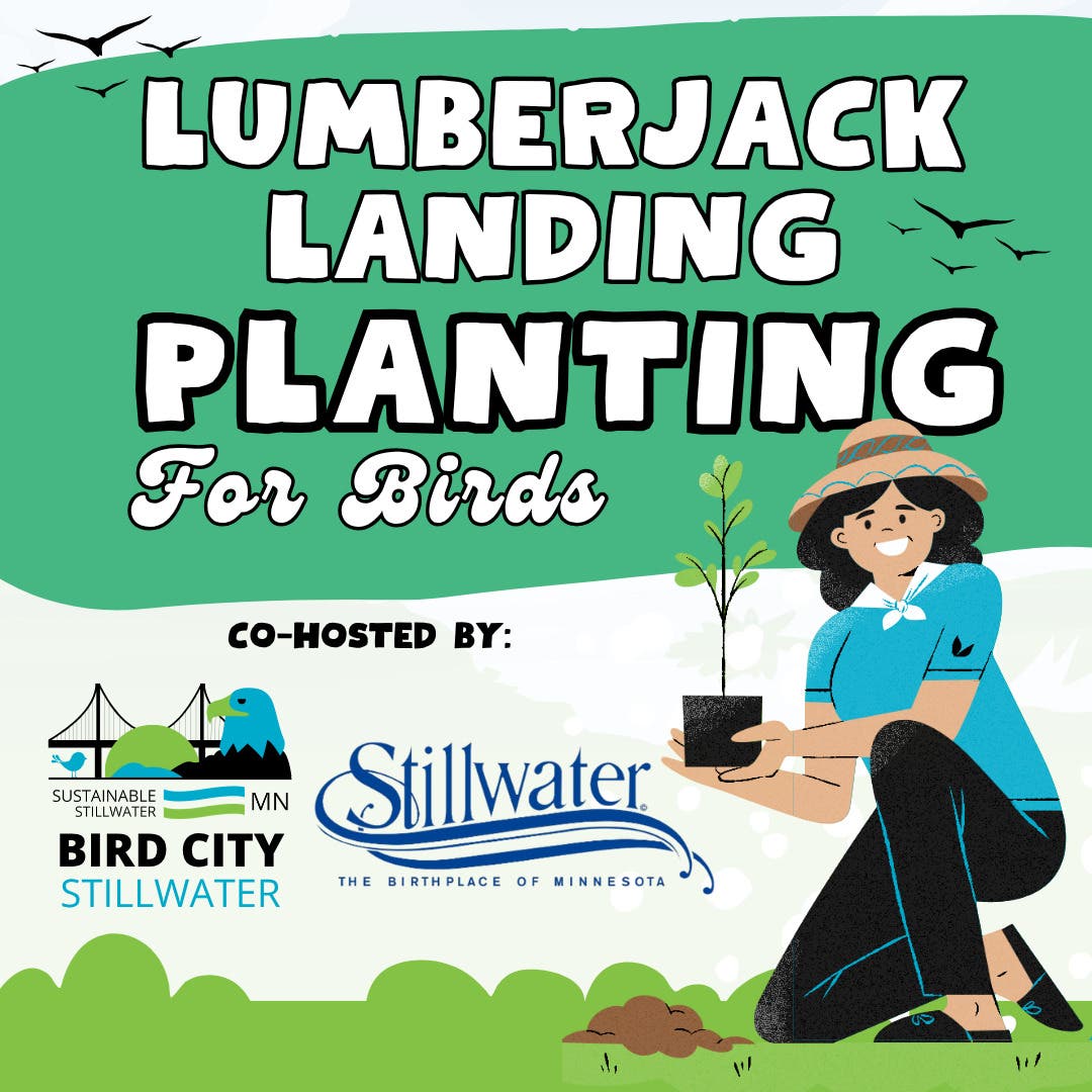 Lumberjack Landing Planting for Birds