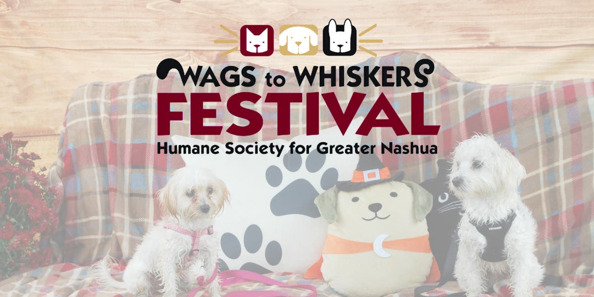 Wags to Whiskers Festival