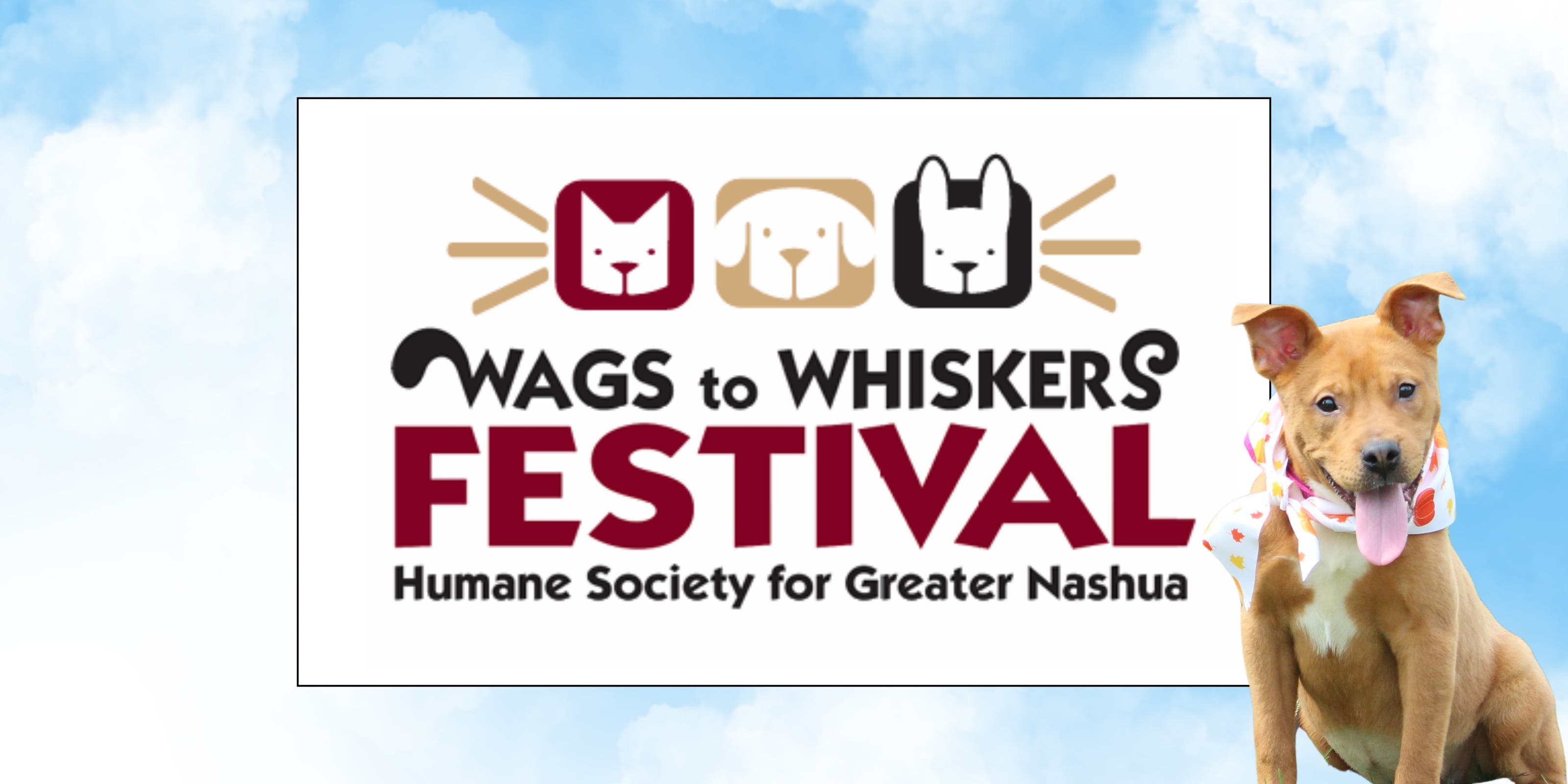 Wags to Whiskers Festival