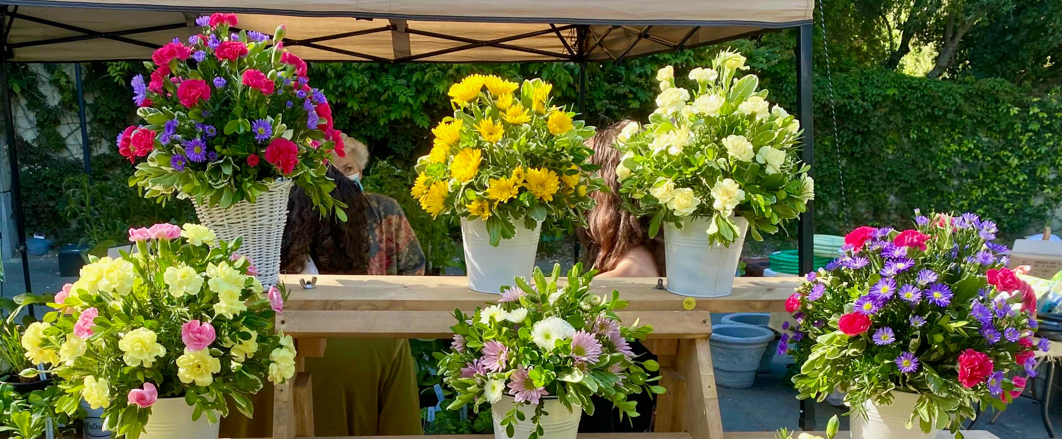 Healdsburg Garden Club Spring Plant Sale