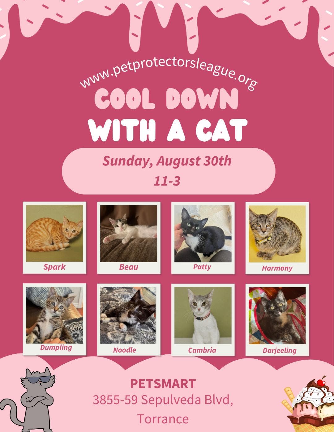 Cool Down With A Cat - adoption