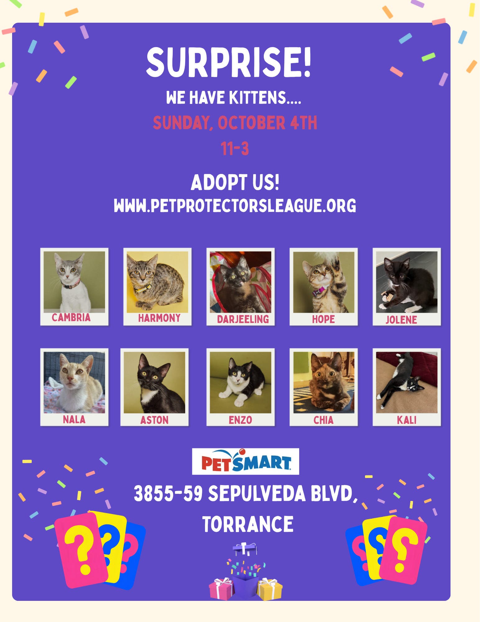 Surprise! We have kittens and cats for Adoption!
