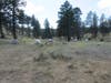 Iris Park in the Valle Vidal (Carson National Forest)