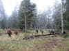 Hiking to the Maxwell trailhead for pickup on day 12 in early morning fog, drizzle and a cool 50 degrees up in the tree line. 