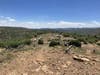 High Desert Camp Site