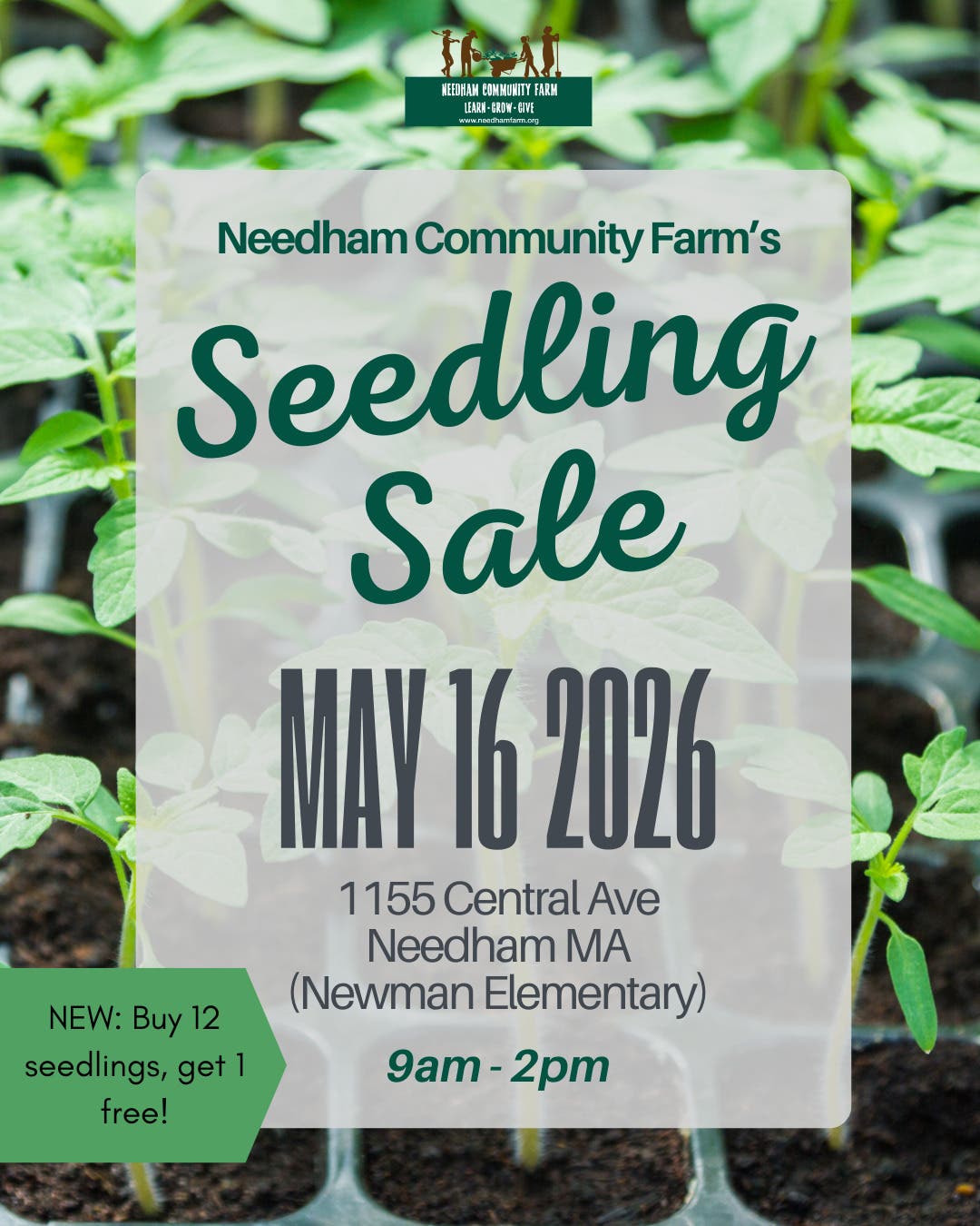 Seedling Sale