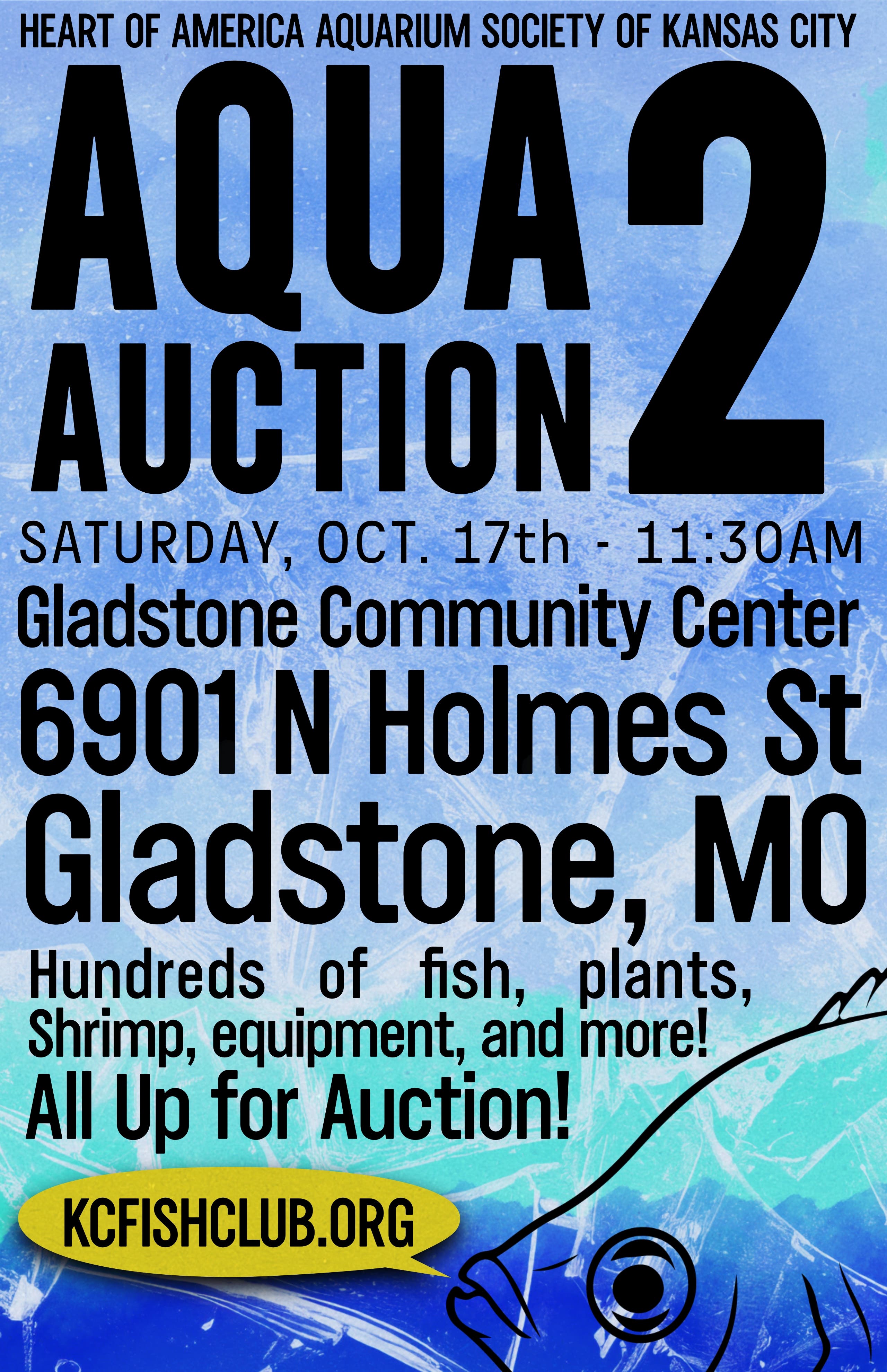 HAAS KC: Aqua Auction 2