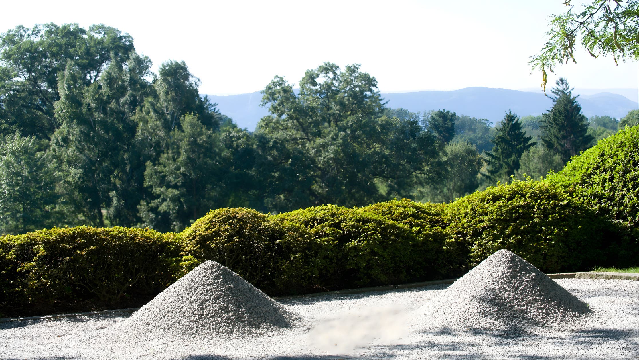 Japanese Garden Tour
