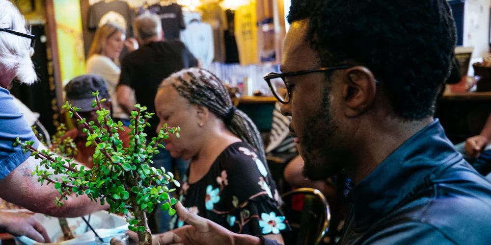 Bonsai Workshop at Nod Hill Brewery