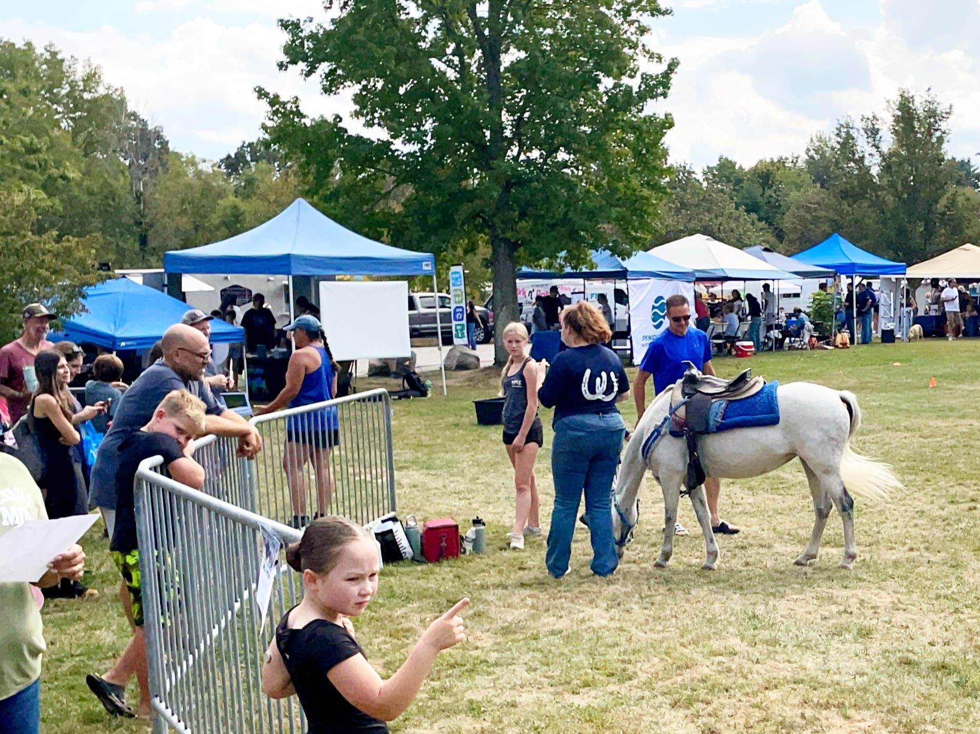 North Reading Town Day