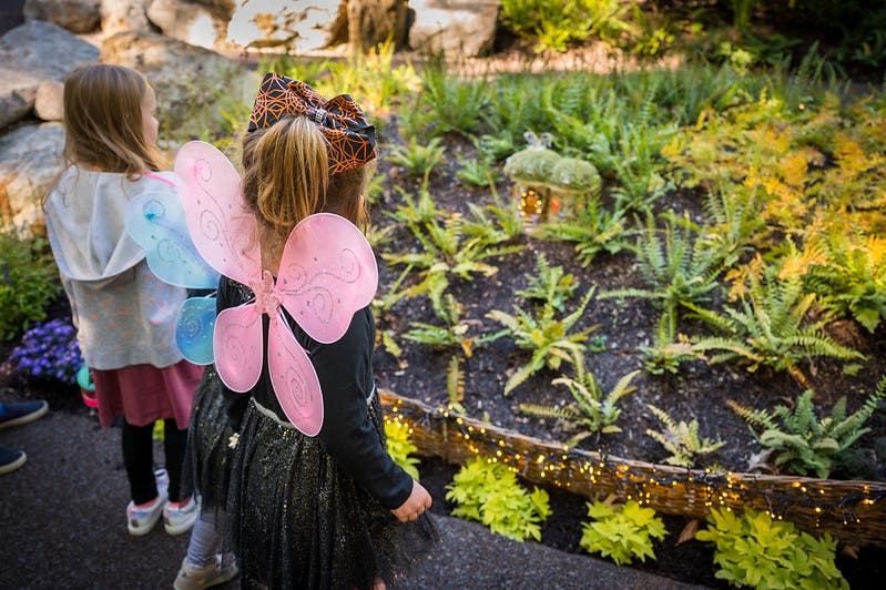 Weekend of Wonder at New England Botanic Garden