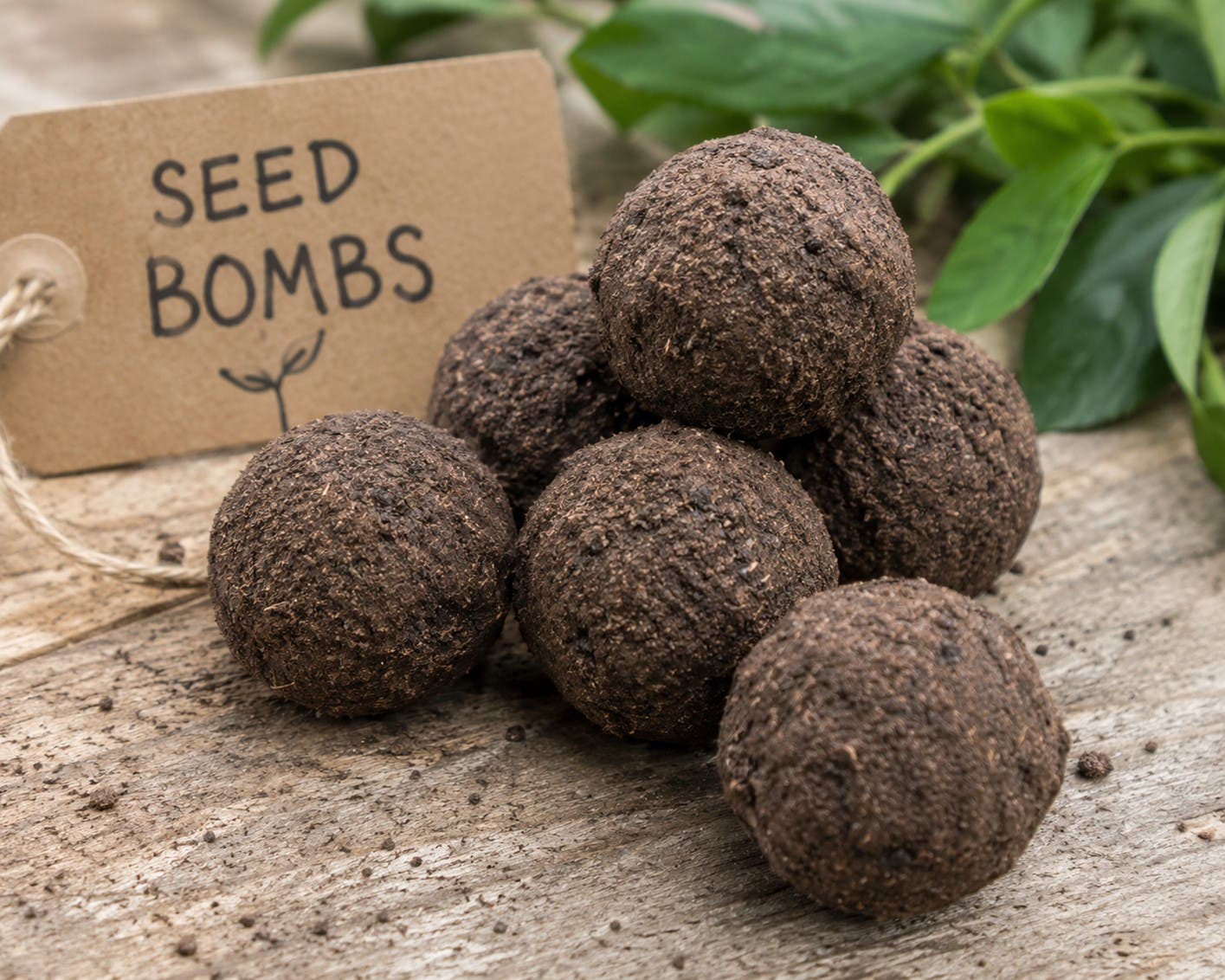 Making Seed Bombs with the San Antonio Botanical Garden