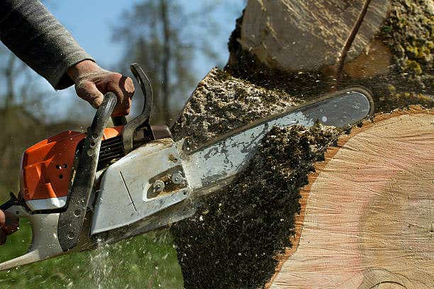 SL Tree & Outdoor Services