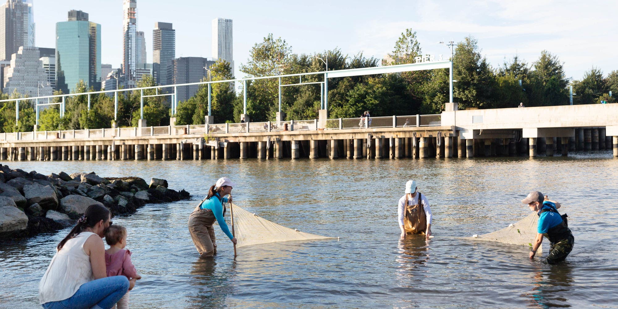 What Lives in the East River?