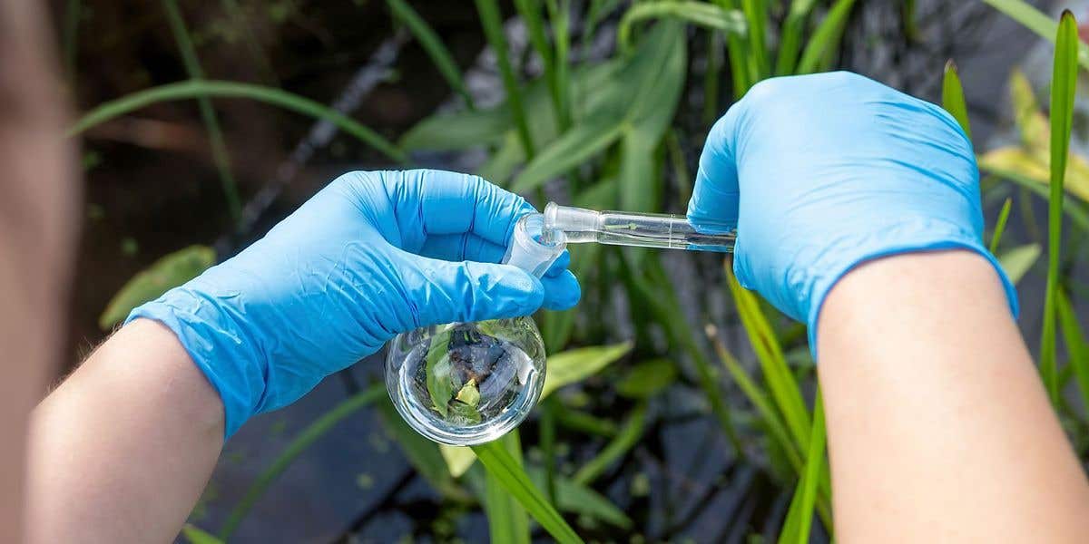 Air allergen & Mold Testing of Augusta