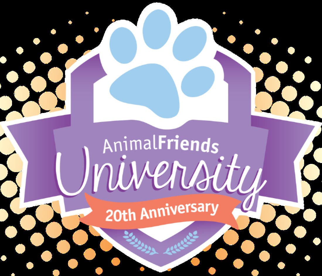 Welcoming Wags: Baby-Ready Canine Prep