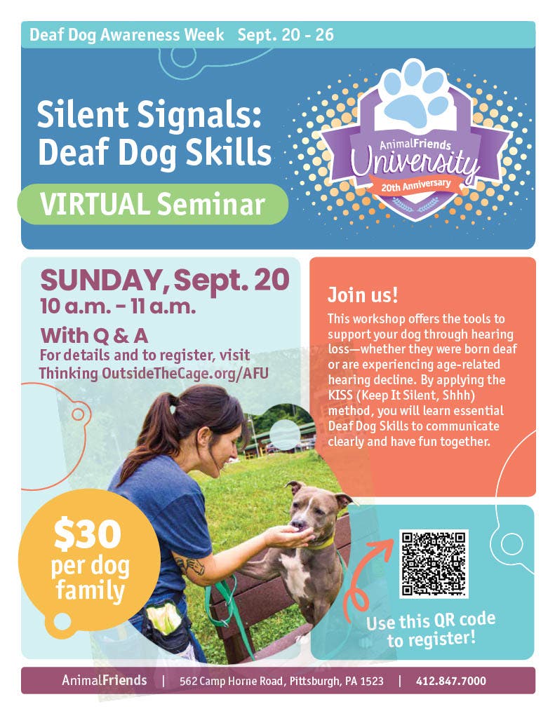 Silent Signals: Deaf Dog Skills VIRTUAL Seminar