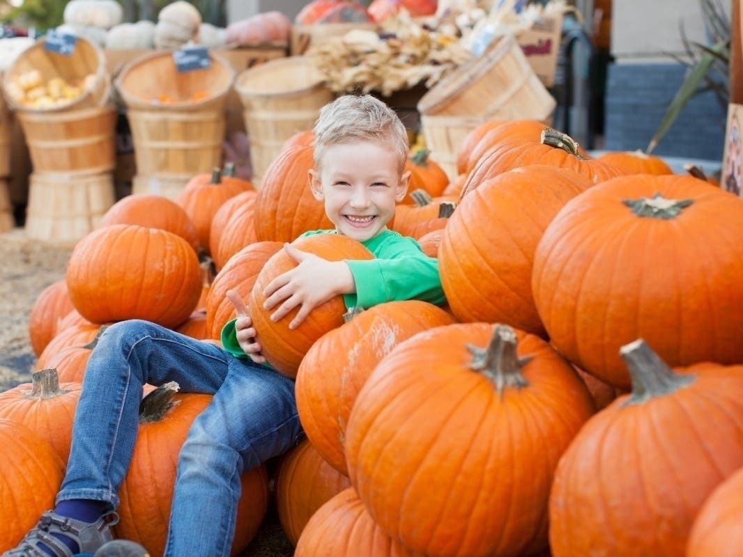 2024 Pumpkin Patches In The Tulsa Area Tulsa, OK Patch