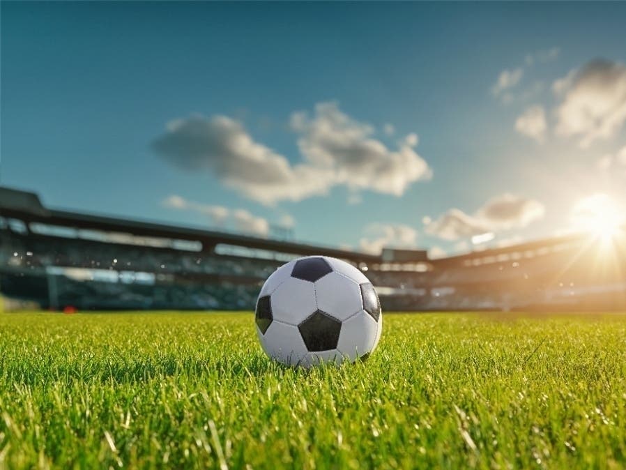 From dramatic finishes to unforgettable moments, soccer is best enjoyed with fellow fans. Here's where to gather in Monroe to catch the action this July.
