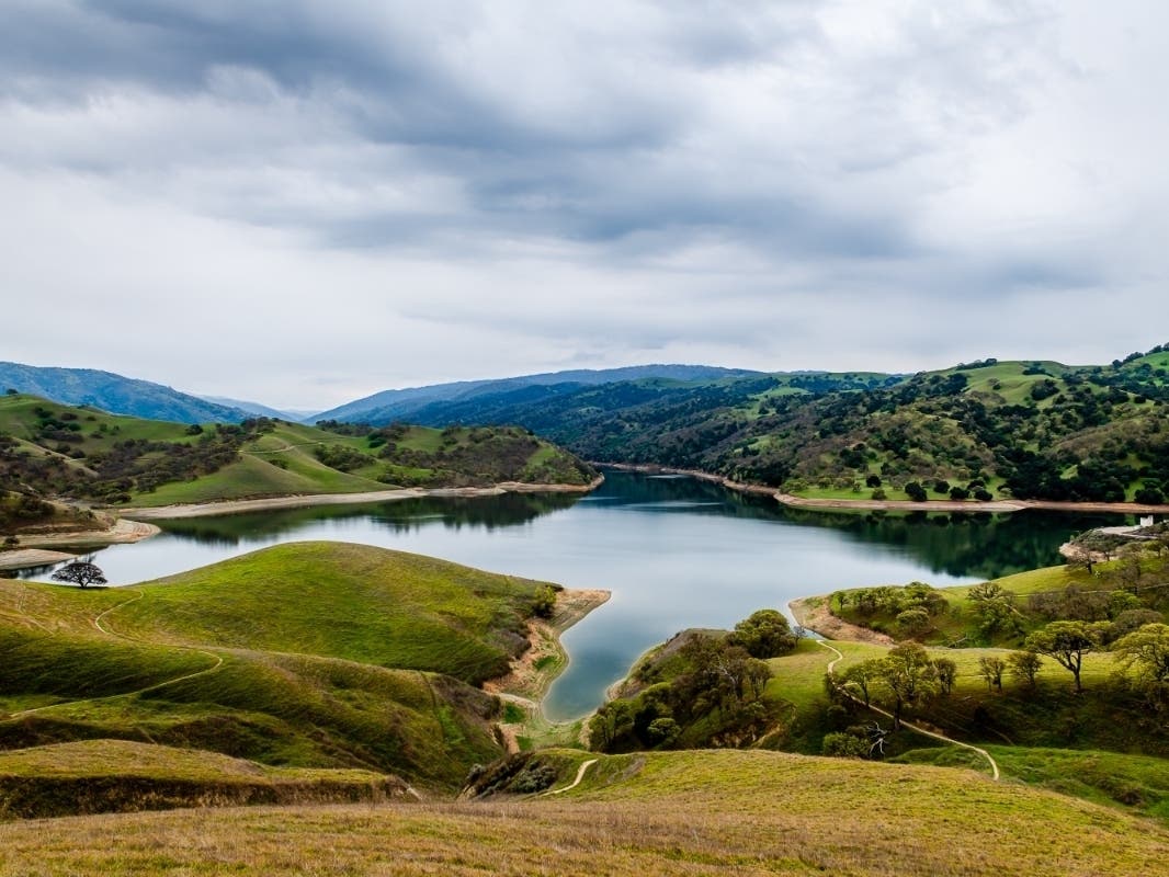 A great Livermore staycation can include coffee, hiking at Del Valle Regional Park, wine tasting and live entertainment—all without traveling far. It's an easy way to enjoy the outdoors, local culture and wine country in one memorable day.