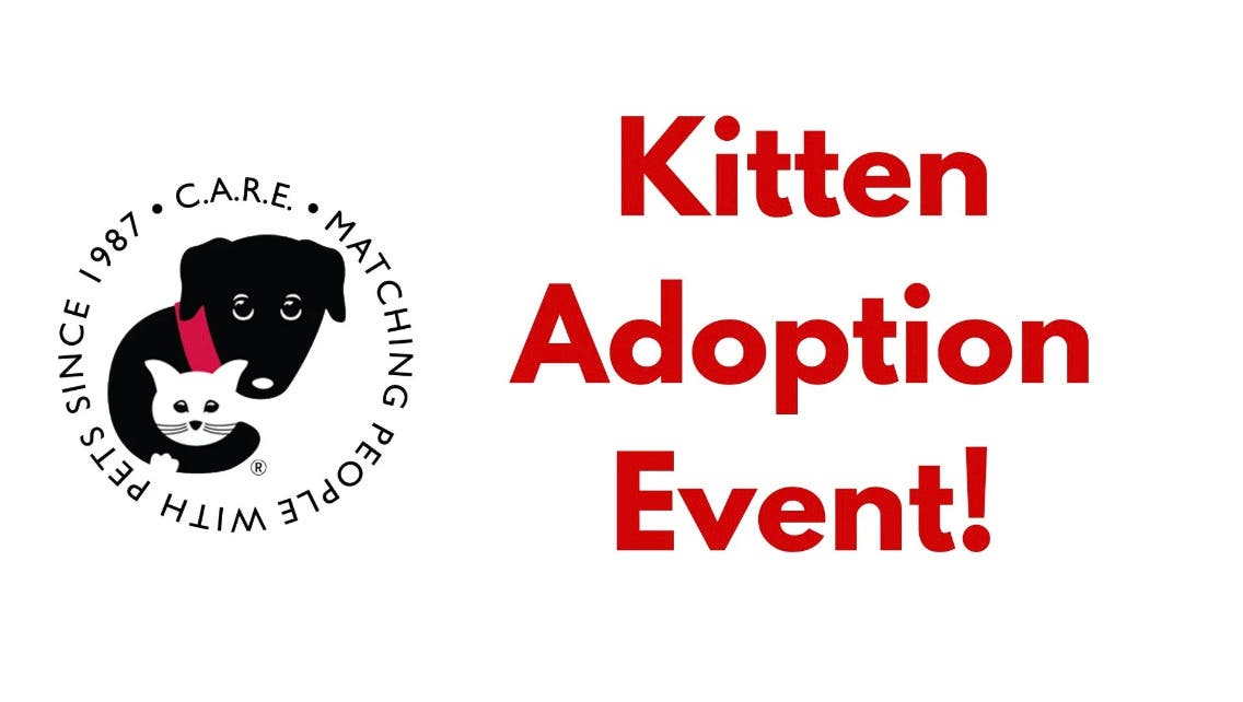 Pop-Up Adoption Event at Hollywood Feed Evanston