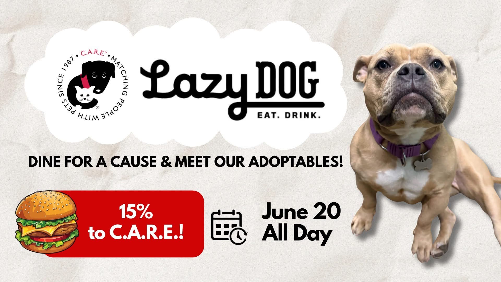 C.A.R.E. Fundraiser & Friends - Lazy Dog Vernon Hills