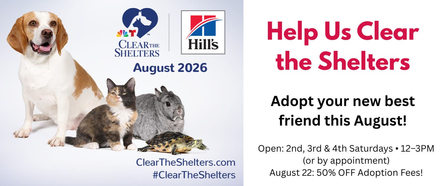 Help Us Clear the Shelters During C.A.R.E.'s Open Hours!