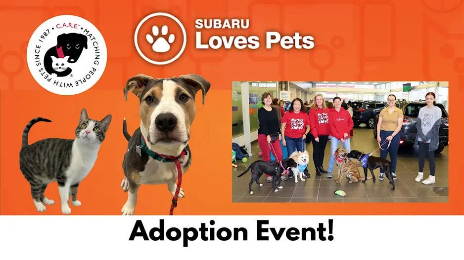 Subaru Loves Pets Adoption Event!