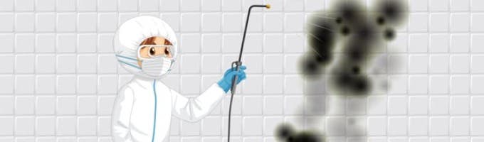 Mold Remediation South Jordan Experts