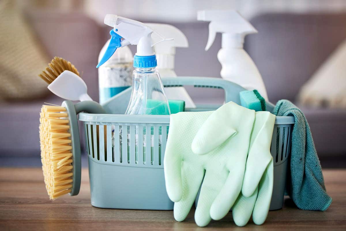 Roses Pro Cleaning Services, Inc