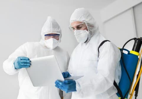 Mold Removal Lees Summit Solutions