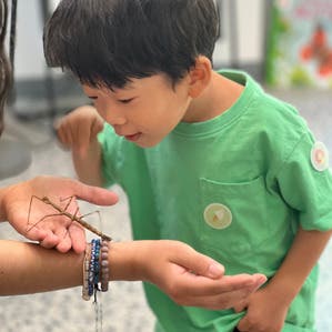 $5 Friday Family Fun Program