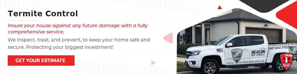 Beacon Pest Services