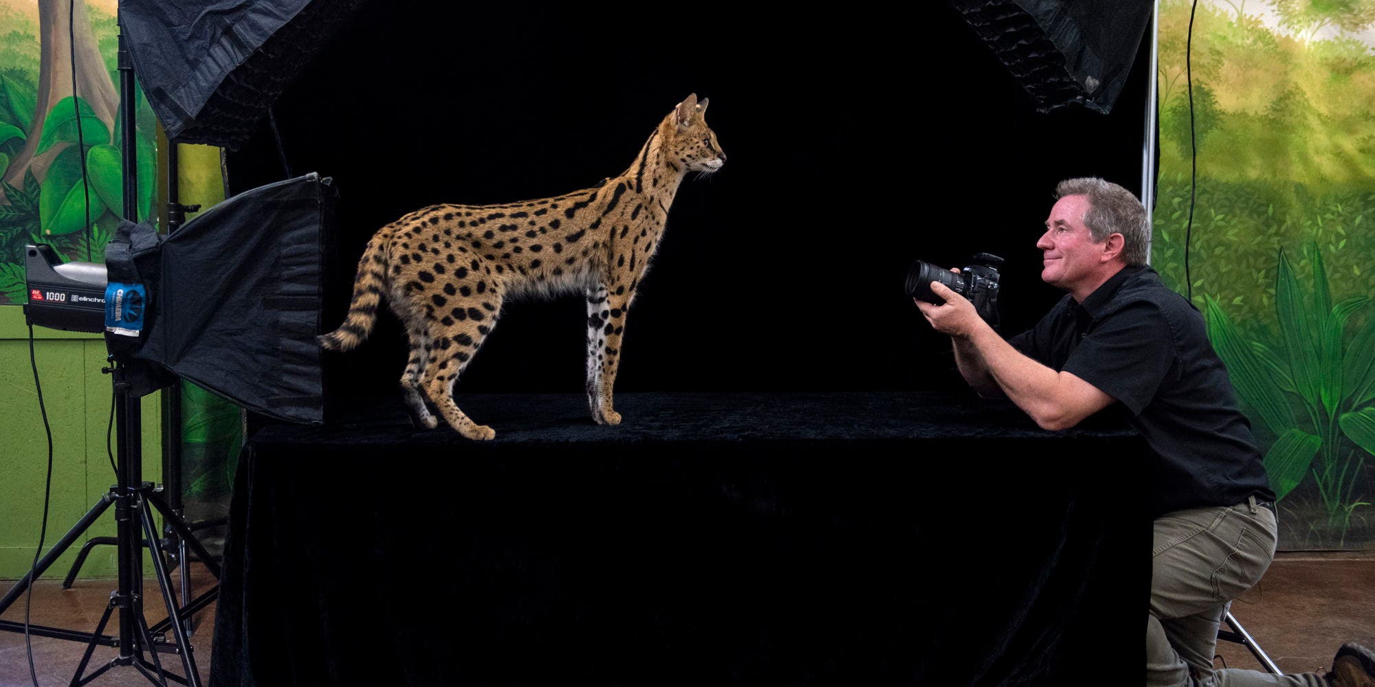 Joel Sartore: An ARCC Toward a Better Future
