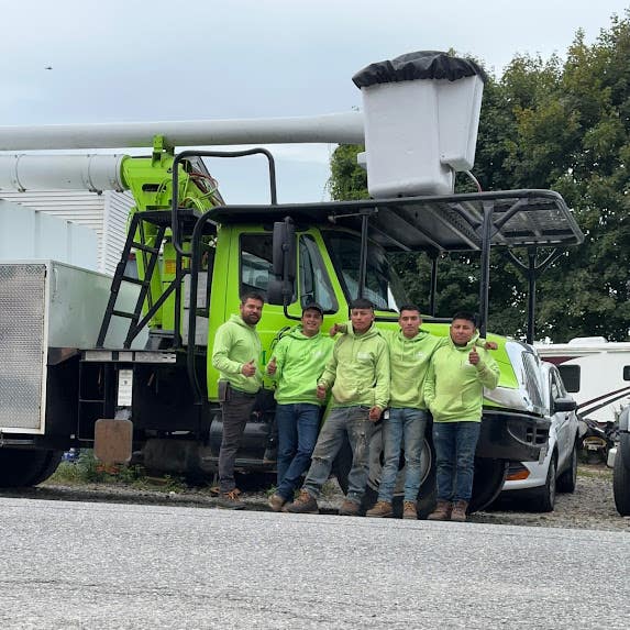 Malverde Tree Services