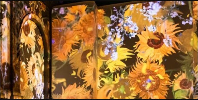 Van Gogh: The Immersive Experience