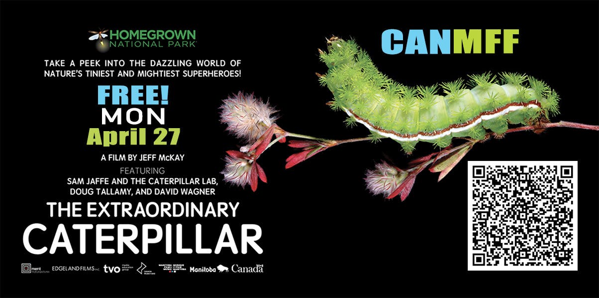 The EXTRAORDINARY CATERPILLAR Special Screening & Panel Discussion | FREE!