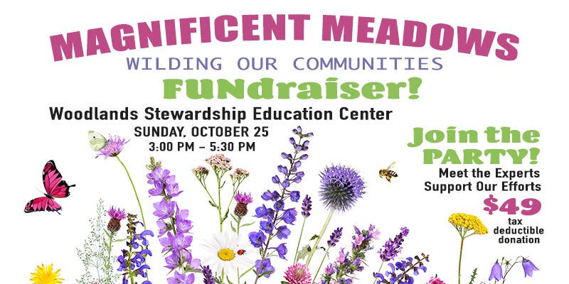 MAGNIFICENT MEADOWS! Wilding Our Communities FUNdraiser | JOIN the PARTY!