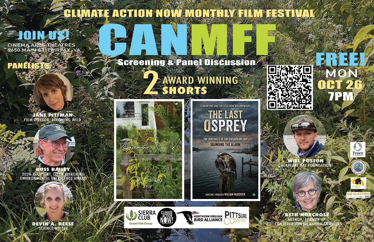 FREE! Becoming Wild & The Last Osprey Film Screenings & Panel Discussion | JOIN US!