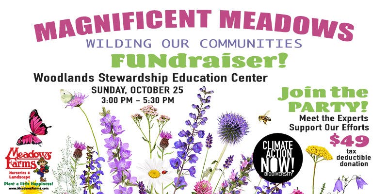 MAGNIFICENT MEADOWS! Wilding Data Centers & Our Communities FUNdraiser | JOIN the PARTY!
