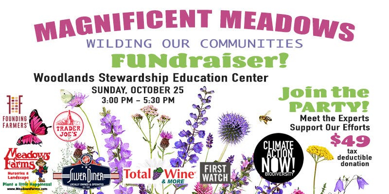 WILDING Our Communities & Data Centers Fundraiser | MAGNIFICENT MEADOWS Afternoon GALA!