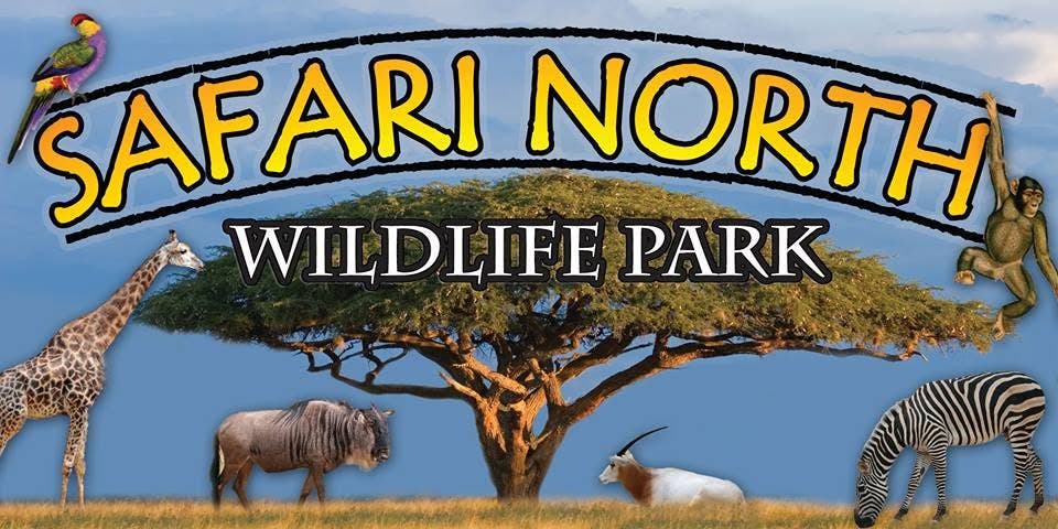 Kids Weekend at Safari North Wildlife Park