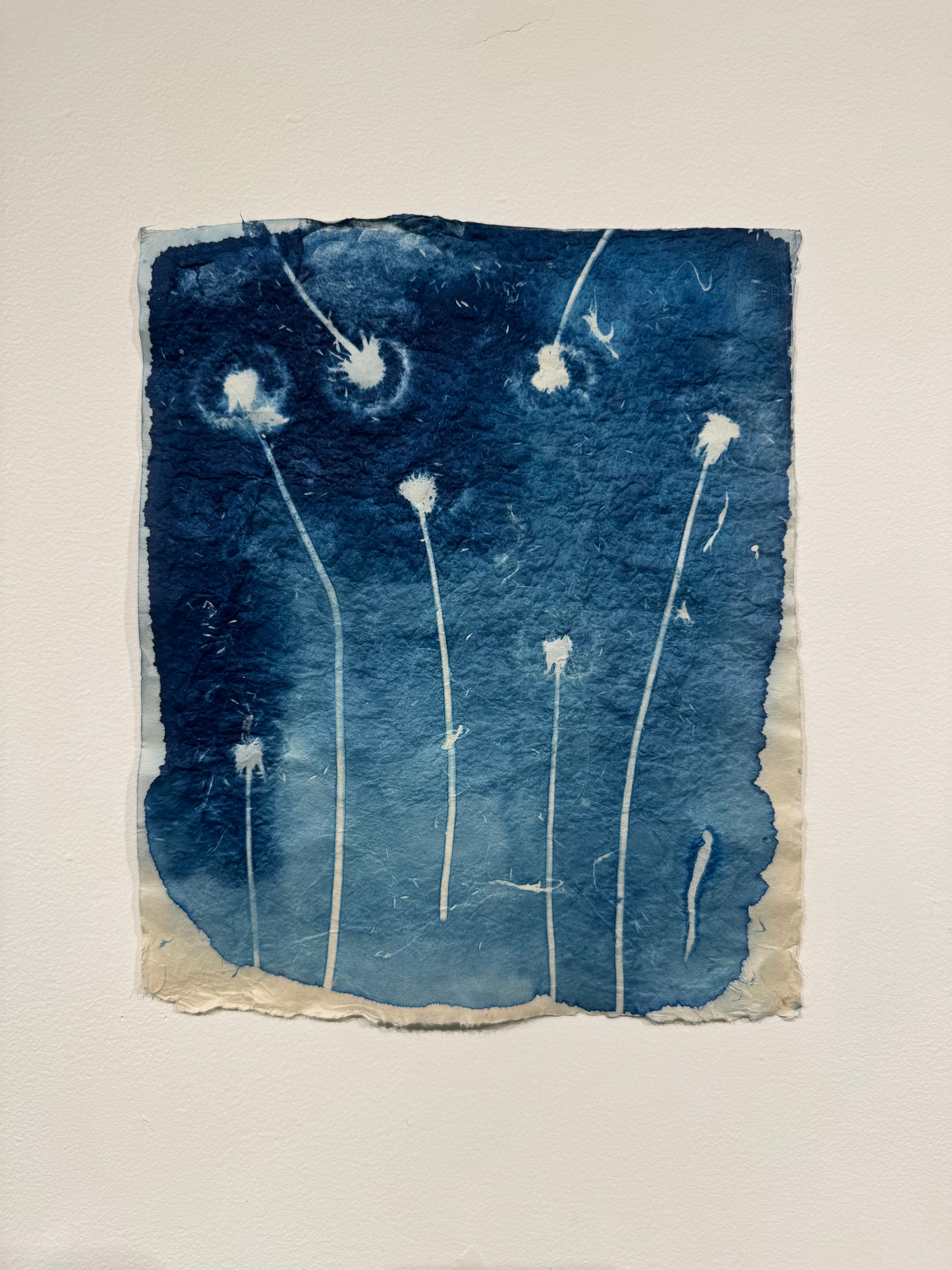 Blueprints of Transience By Graciela DeAnda