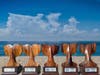 Thirteen companies received the top tier Sapphire Award from Protecting Blue Whales and Blue Skies.