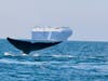 Protecting Blue Whales and Blue Skies is a voluntary Vessel Speed Reduction program.