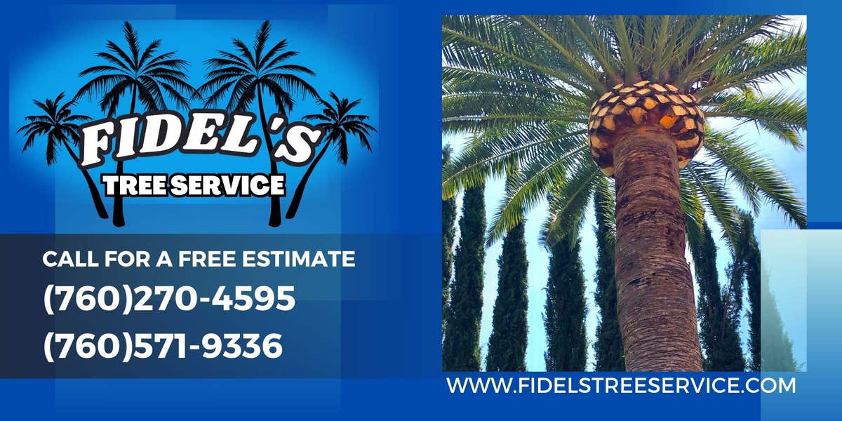 Fidel's Tree Service