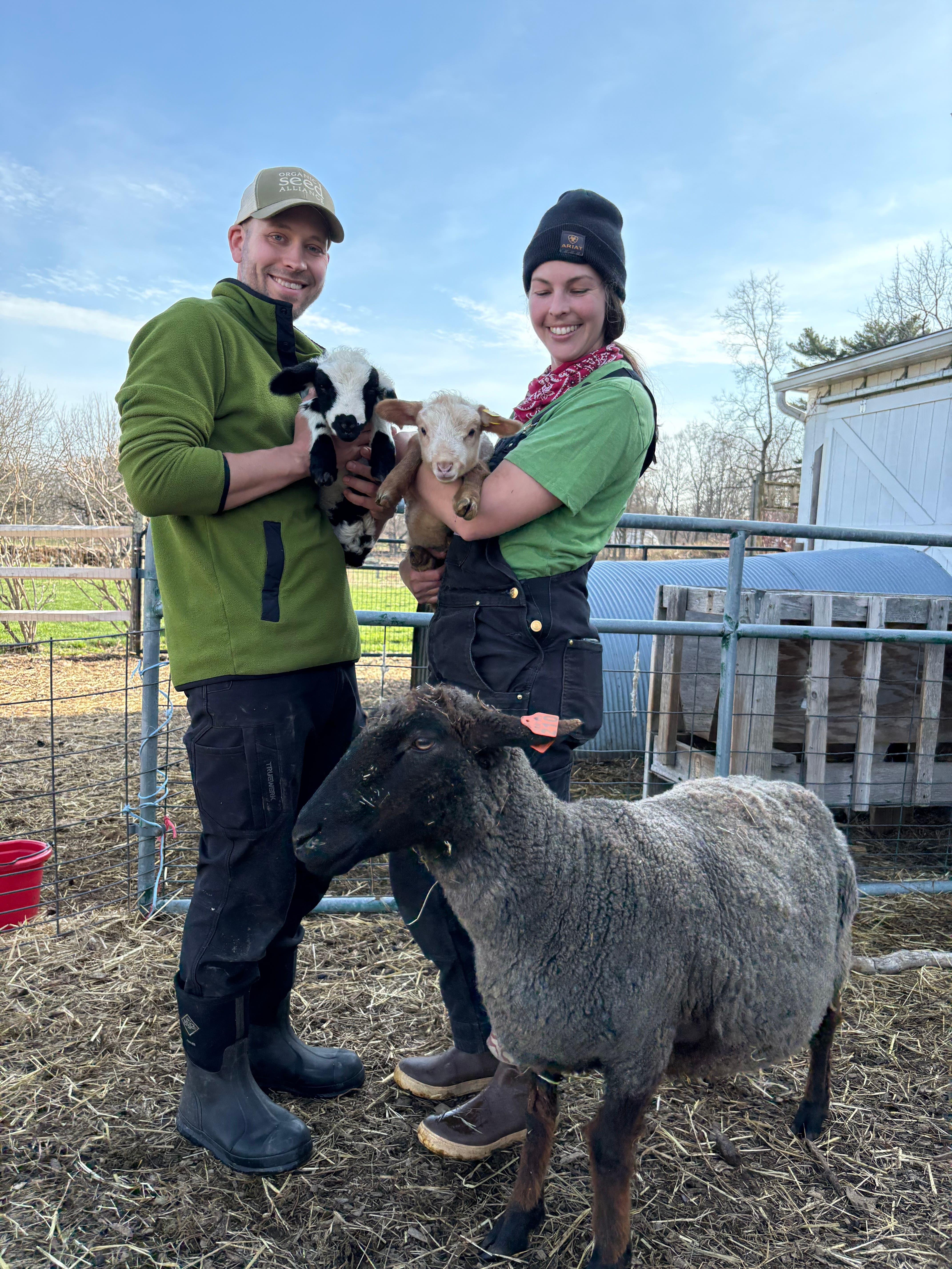 Lamb Tours at The Hickories